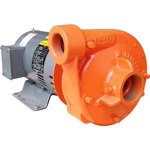 Berkeley Pumps Sales