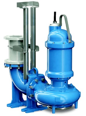 Barnes Chopper Pumps NY