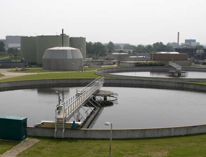 Barnes Chopper Pumps NY